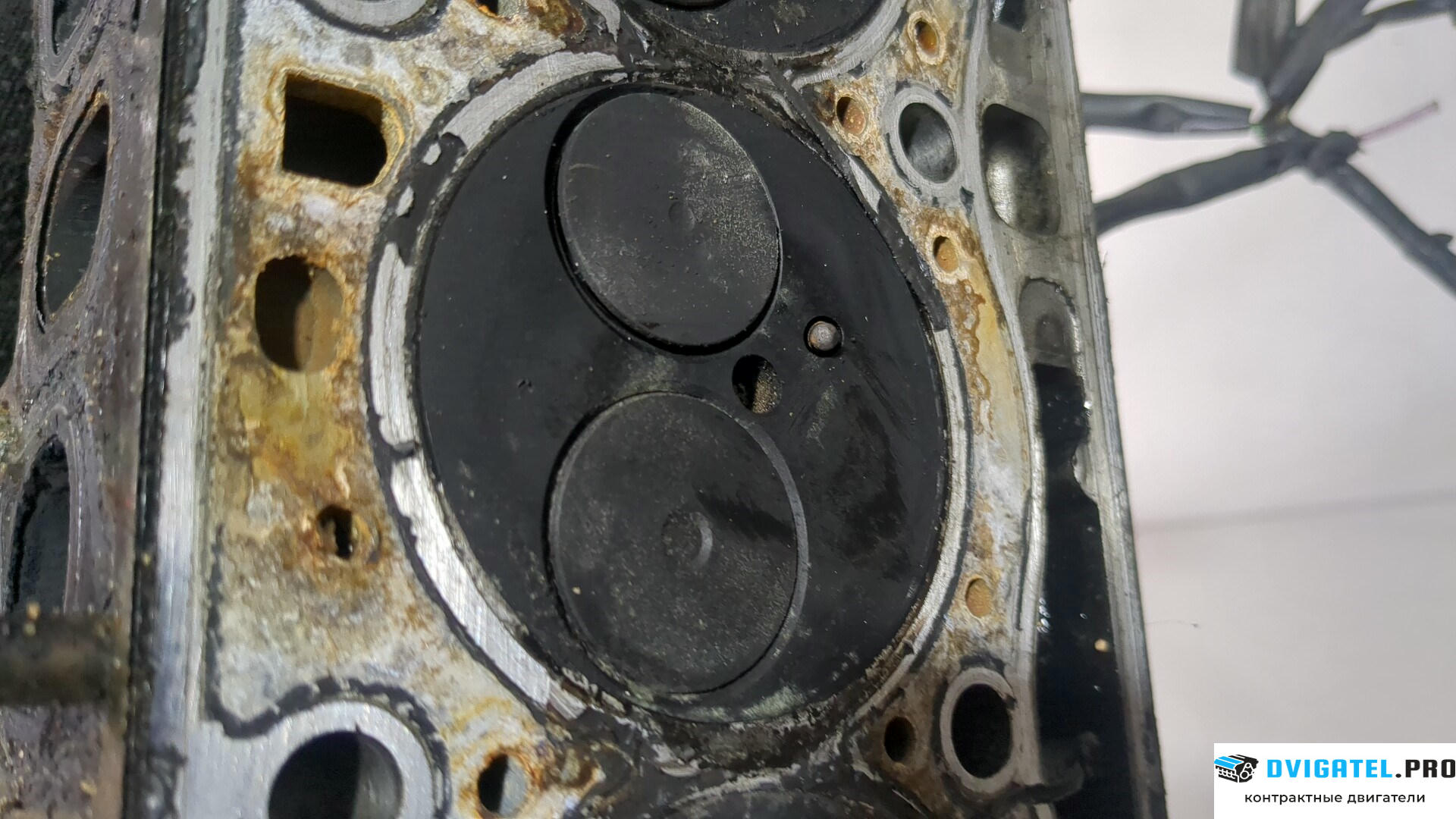 Головка блока цилиндров (ГБЦ) Opel Movano 2004 - 2010 F9Q 772 1.9 л., Дизель, DCI, артикул 8936227